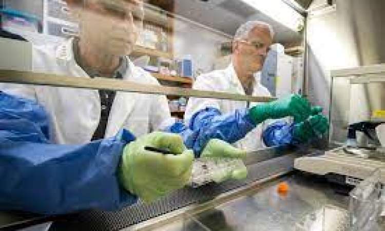 دراسة تفجر مفاجأة..نجاح عملية زرع نبتة في تربة مستخرجة من القمر