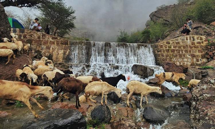  91 وفاة وتضرر 24624 أسرة نتيجة السيول