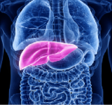 طريقة بسيطة لتجنب الإصابة بمرض الكبد