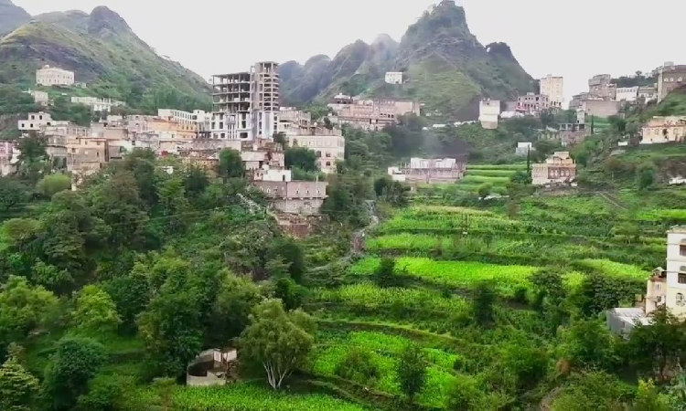شخص يقتل 4 من أقاربه في حزم العدين