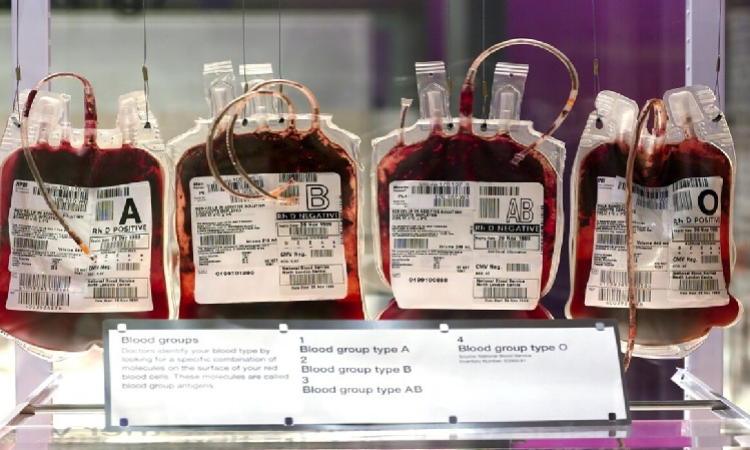 اكتشاف إنزيمات تحول فصائل الدم المختلفة إلى الفصيلة الأولى