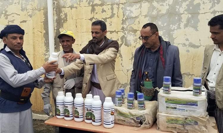 توزيع المبيدات الخاصة بدودة الحشد الخريفية في حجة