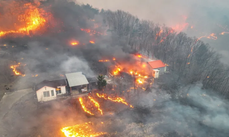 24 قتيلا في حرائق بكوريا الجنوبية