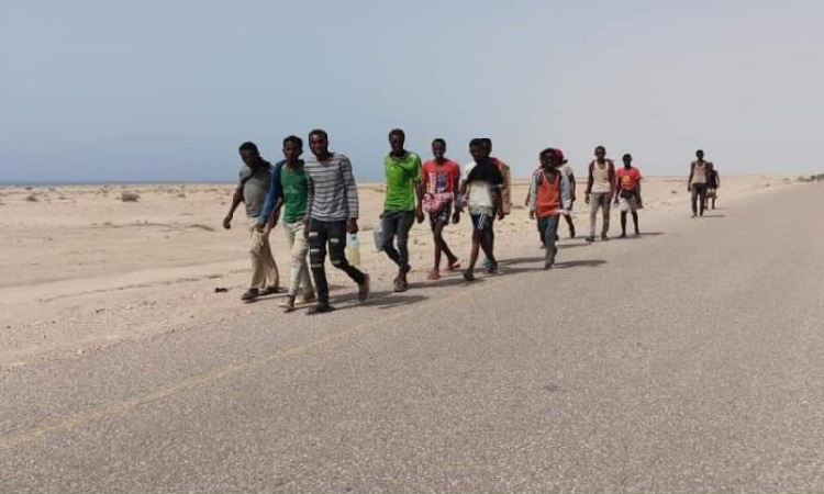 شرطة صعدة تضبط الف و308من المهاجرين غير الشرعيين