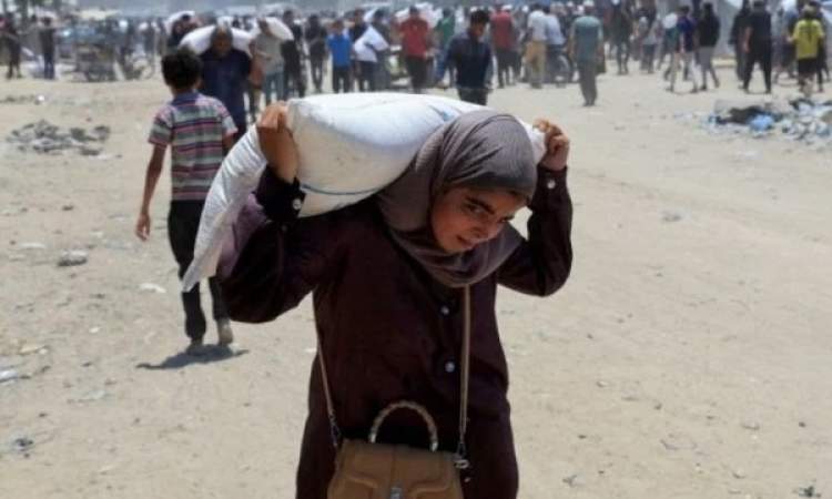 "الإعلامي الحكومي" بغزة: دخول 83 شاحنة مساعدات فقط تم نهب معظمها