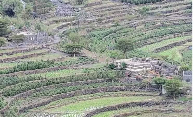 المحويت من بين 3محافظات الأعلى نسبة في كمية الامطار المتساقطة