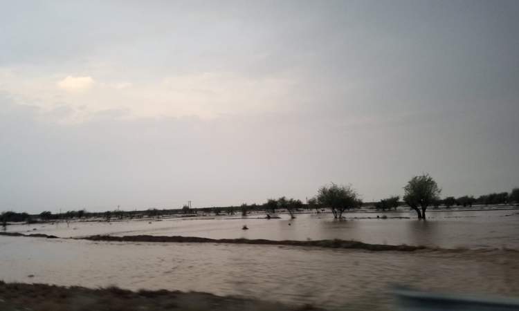 وفاة 12 شخصا بموجة الامطار الاخيرة على اليمن