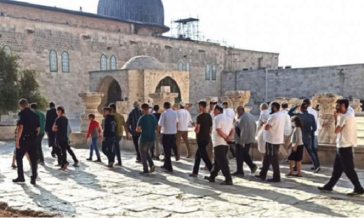 مغتصبين صهاينة يدنسون الأقصى المبارك