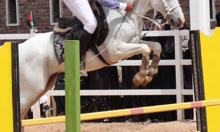 اختتام بطولة الحباري لقفز الحواجز بمناسبة المولد النبوي