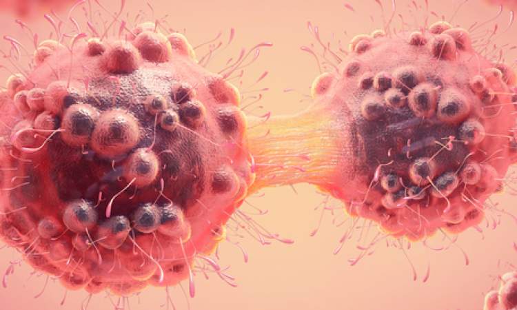 اكتشاف نقطة ضعف جديدة في الخلايا السرطانية