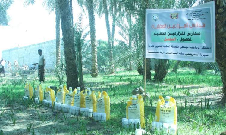 تدشين توزيع مدخلات الحقول لمزارعي النخيل بالدريهمي