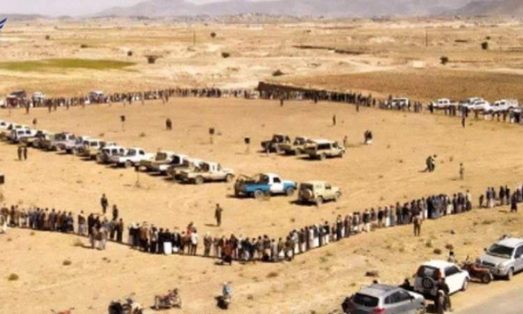 قبائل ميفعة عنس بذمار تُعلن النفير والجهوزية لمواجهة مخططات الأعداء