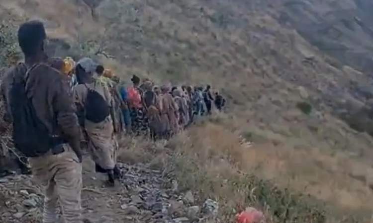 الضوء الأخضر السعوديّ والحملات الإعلامية المغرِضة عن الأفارقة في الحدود