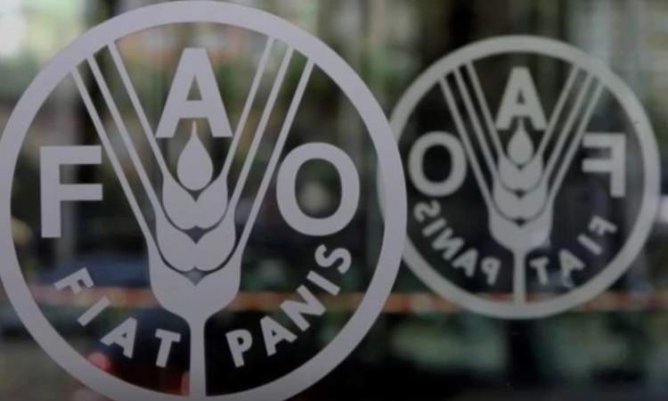 الفاو تعلن تراجع أسعار الغذاء العالمية للشهر الثاني 
