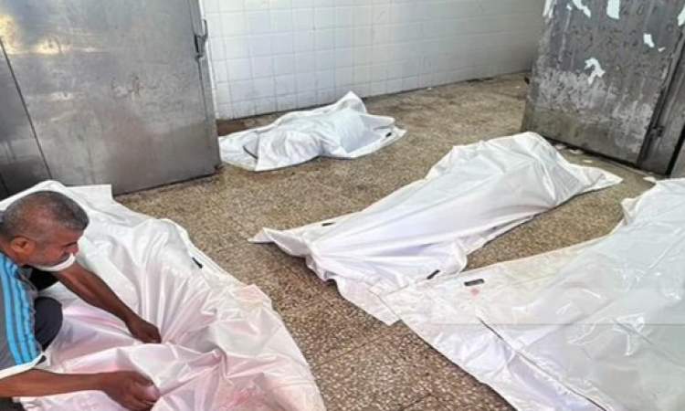 صحة غزة: ارتفاع الجثامين المستلمة من العدو الإسرائيلي إلى 315