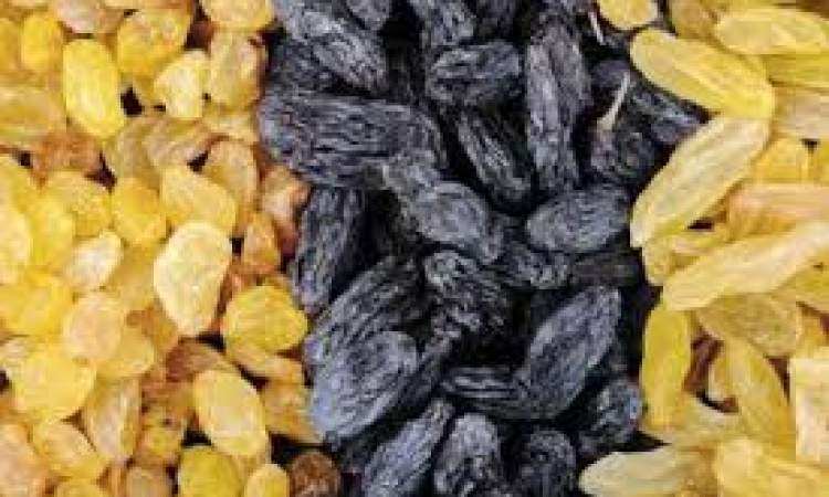 وزارة الزراعة تؤكد استمرار قرار منع استيراد الزبيب الخارجي