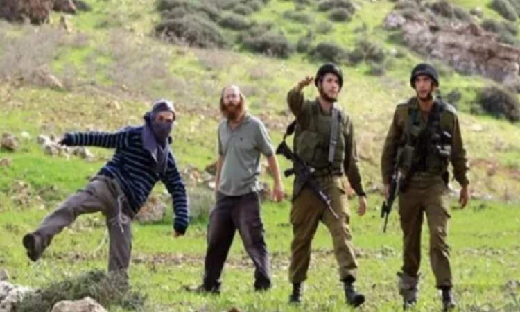 تصعيد اعتداءات المستوطنين يطال الممتلكات الفلسطينية في الضفة والقدس