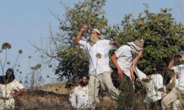 اعتداء على مزارعين فلسطينيين: إصابات خطيرة جراء هجوم مستوطنين شرق طولكرم