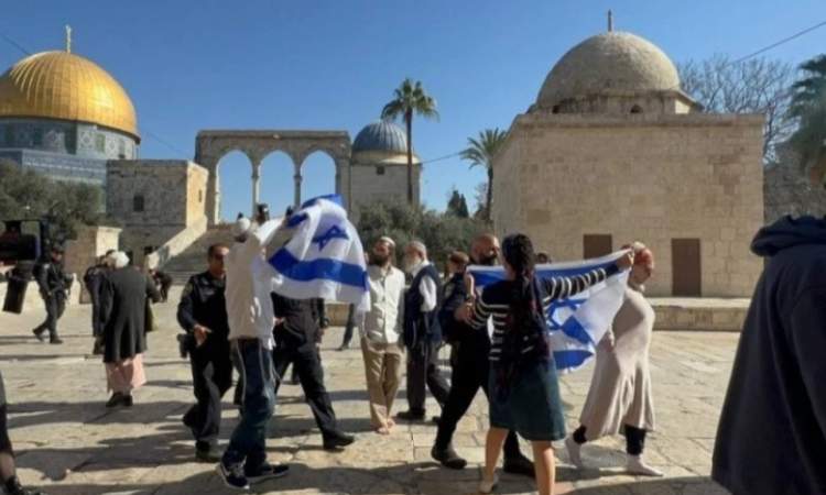 1138 مستوطنا يدنسون المسجد الأقصى بأداء طقوس تلمودية استفزازية